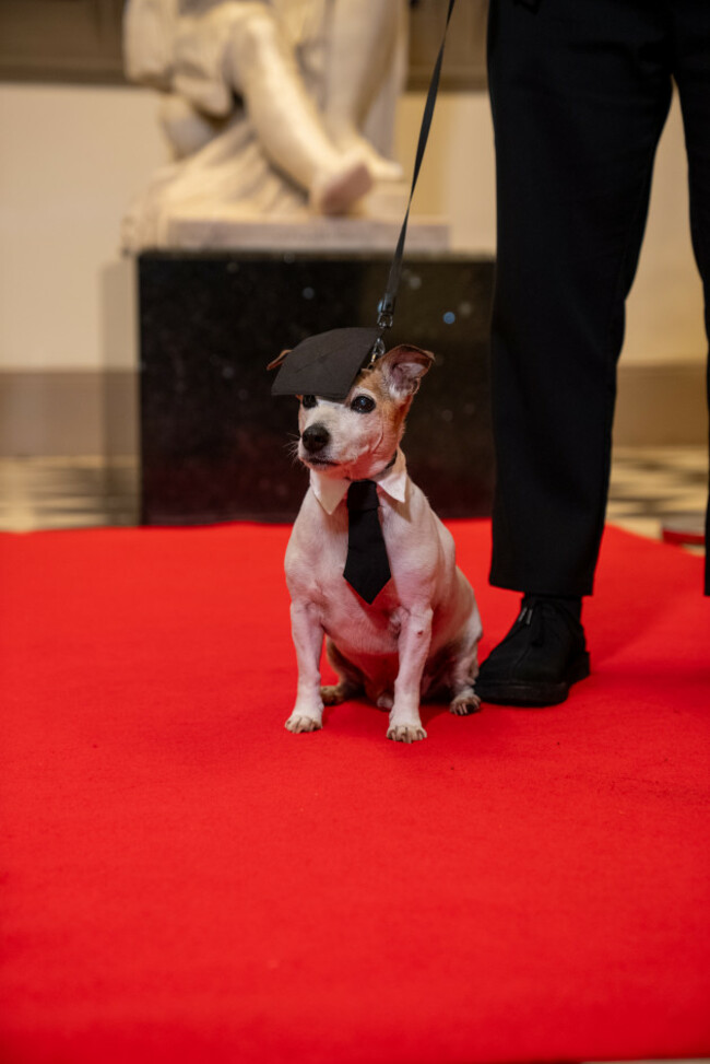 Rico and Michael Murphy