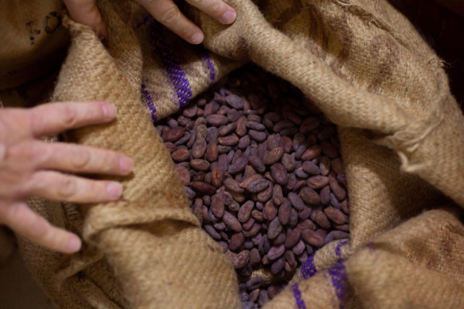 a-bag-of-cocoa-beans-cocoa-beans-for-chocolate-high-quality-photo