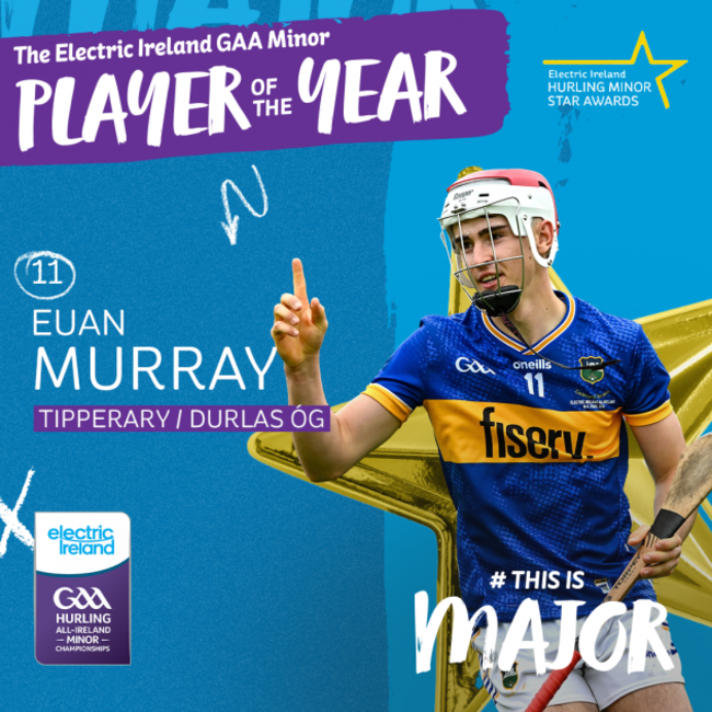 J6297_PoTY_Hurling_individual_1080