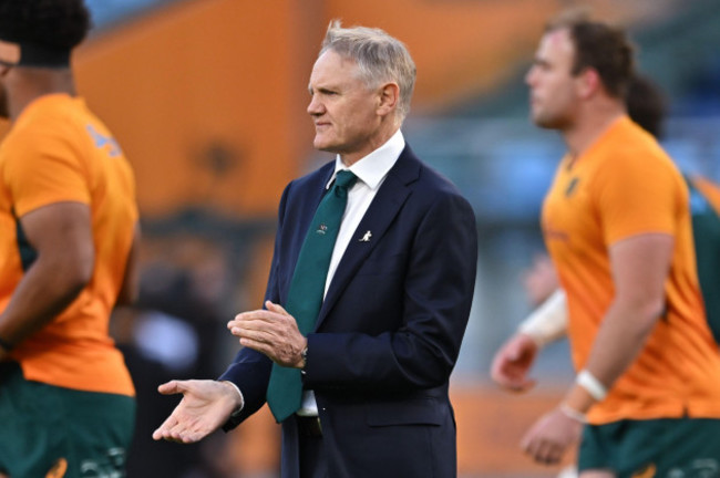 sydney-australia-20th-july-2024-wallabies-head-coach-joe-schmidt-before-the-international-rugby-union-match-between-the-australian-wallabies-and-the-georgia-lelos-at-allianz-stadium-in-sydney-sat