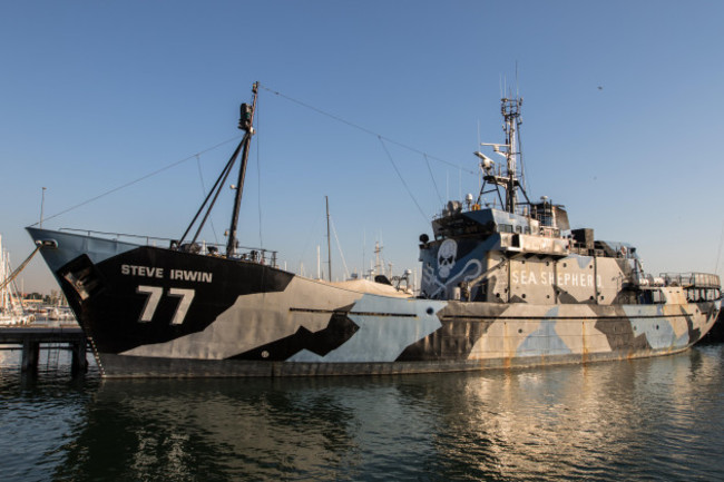 sea-shepherd-my-steve-irwin