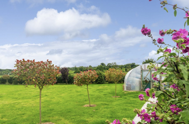 Screenshot 2024-08-29 at 16.01.49