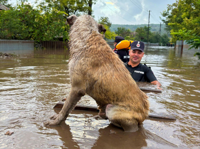 in-this-photo-released-by-the-romanian-emergency-services-galati-isu-galati-firefighters-approach-a-stranded-dog-in-cudalbi-romania-saturday-sept-14-2024-after-torrential-rainstorms-left-score