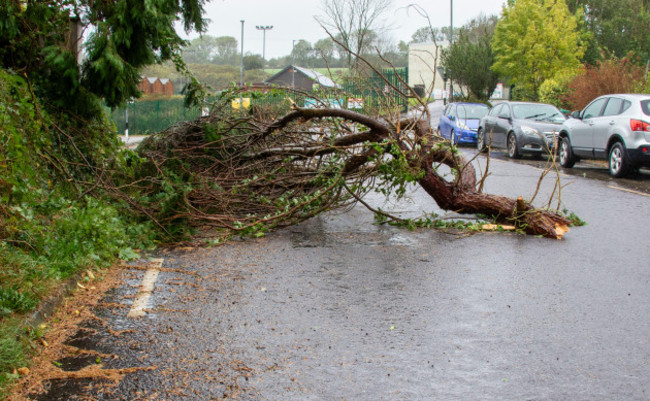 clonakilty-west-cork-ireland-sunday-29th-september-2024with-cork-under-an-orange-weather-warning-driving-rain-and-high-winds-caused-falling-trees-as-well-wet-slippery-roads-to-add-to-the-hazards