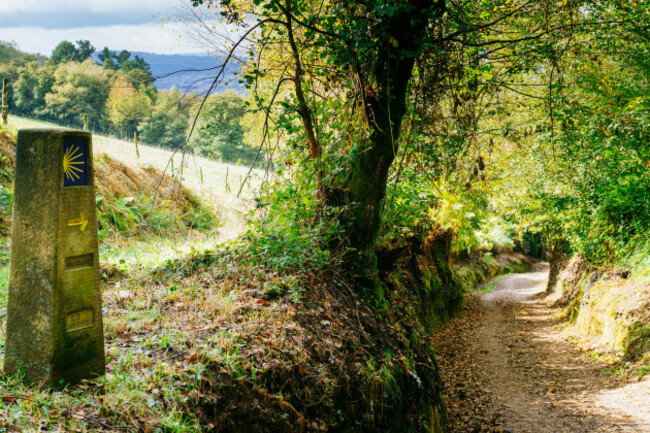 the-path-between-the-galician-forests-on-the-outskirts-of-triacastela-triacastela-lugo-galicia-spain-europe