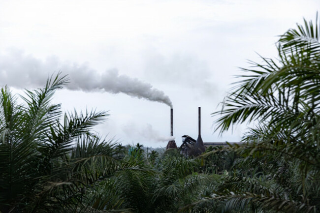 palm-plantation-with-smoke-coming-out-of-a-chimney-at-a-palm-oil-factory-in-north-sumatra-indonesia