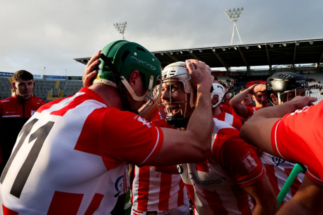 seamus-harnedy-and-brian-lawton-celebrate