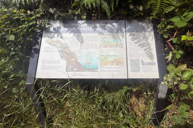 The tourism sign is surrounded by bushes and greenery.