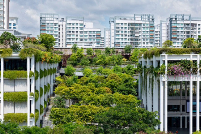 oasis-terraces-in-singapore-a-green-roof-provides-an-urban-nature-based-solution-to-environmental-challenges-such-as-climate-change