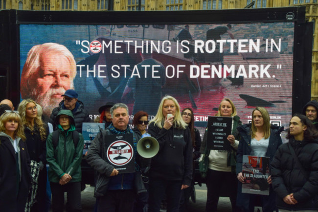 london-uk-9th-november-2024-protesters-gather-outside-the-parliament-in-westminster-in-support-of-sea-shepherd-founder-and-anti-whaling-activist-paul-watson-watson-a-us-and-canadian-citizen-was