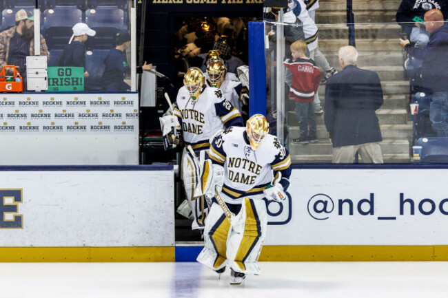 south-bend-indiana-usa-01st-nov-2024-notre-dame-players-take-the-ice-prior-to-ncaa-hockey-game-action-between-the-wisconsin-badgers-and-the-notre-dame-fighting-irish-at-compton-family-ice-arena-i