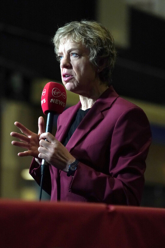 labour-party-leader-ivana-bacik-as-the-election-count-continues-at-rds-simmonscourt-dublin-after-voters-went-to-the-polls-to-elect-174-tds-across-43-constituencies-during-the-irish-general-election