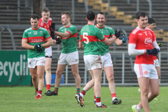 loughmore-castleiney-players-celebrate-after-the-match