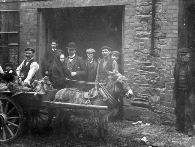 gobble-gobble-turkeys-being-delivered-to-flynn-youngs-on-conduit-lane-in-waterford-ireland-1907