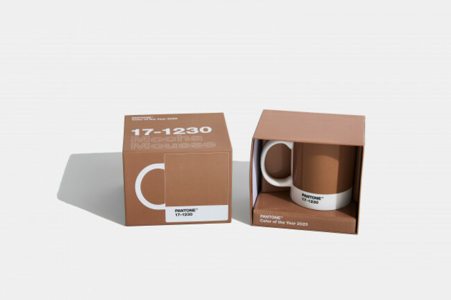 PANTONE 17-1230 Mocha Mousse Mug.