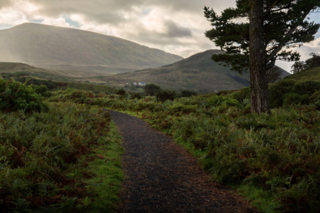 walking-trail-at-wild-nephin-national-park-ballycroy-ireland-a-beautiful-remote-wilderness-in-county-mayo-with-peatland-lakes-rivers-mountains