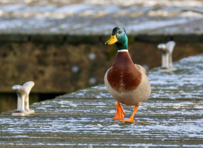 lough-neagh-kinnego-northern-ireland-uk-07-jan-2025-uk-weather-a-mixed-day-with-showers-of-snow-sleet-and-rain-along-with-the-odd-spell-of-sunshine-very-cold-temperatures-around-1c-at-best-a