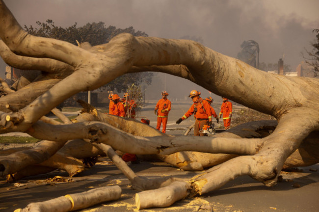 fire-crews-begin-to-clear-a-toppled-tree-in-the-aftermath-of-the-palisades-fire-in-the-pacific-palisades-neighborhood-of-los-angeles-wednesday-jan-8-2025-ap-photoetienne-laurent