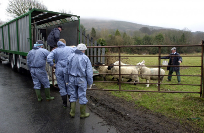 foot-and-mouth-crisis-disease-farming-animals-trucks