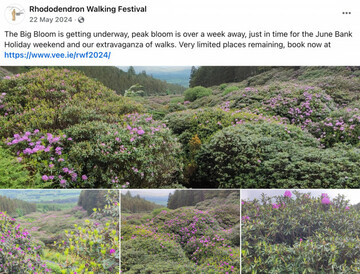 Rhododendron Walking Festival (Screenshot)