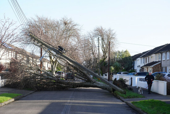 a-fallen-tree-and-pole-on-grove-park-drive-in-dublin-residents-across-ireland-have-been-urged-to-stay-at-home-as-the-entire-island-braces-for-the-arrival-of-storm-eowyn-the-top-level-red-warning-for