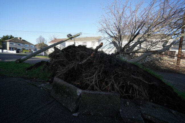 a-fallen-tree-and-pole-on-grove-park-drive-in-dublin-residents-across-ireland-have-been-urged-to-stay-at-home-as-the-entire-island-braces-for-the-arrival-of-storm-eowyn-the-top-level-red-warning-for