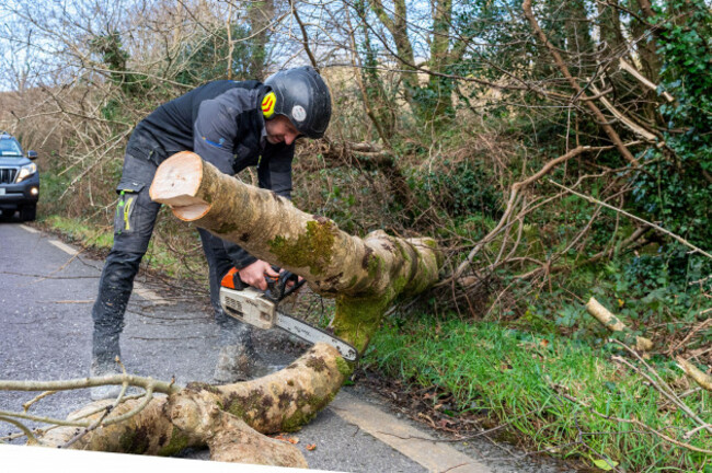 leap-west-cork-ireland-24th-jan-2025-storm-eowyn-has-hit-ireland-today-with-a-met-eireann-red-weather-warning-for-wind-for-the-whole-country-a-tree-was-blown-down-west-of-leap-on-the-n71-but-qu