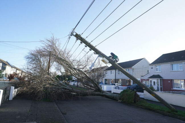 a-fallen-tree-and-pole-on-grove-park-drive-in-dublin-residents-across-ireland-have-been-urged-to-stay-at-home-as-the-entire-island-braces-for-the-arrival-of-storm-eowyn-the-top-level-red-warning-for