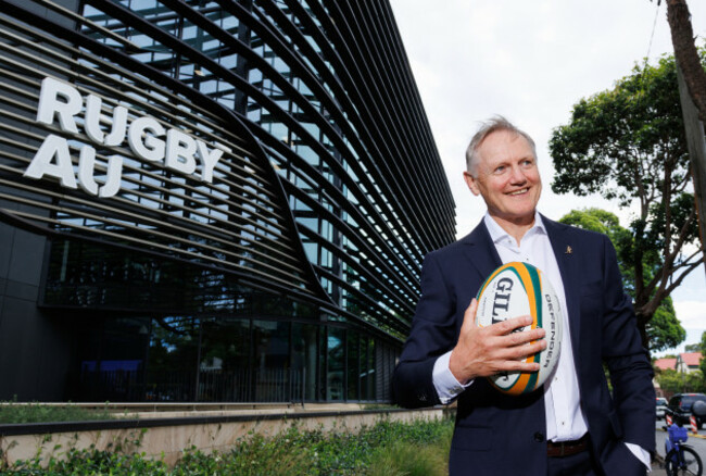 joe-schmidt