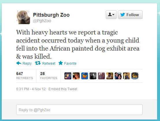 Toddler dies after falling into wild dogs pen at Pittsburgh Zoo