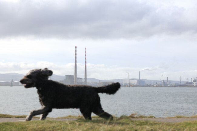 Dollymount Strand-6_90722252