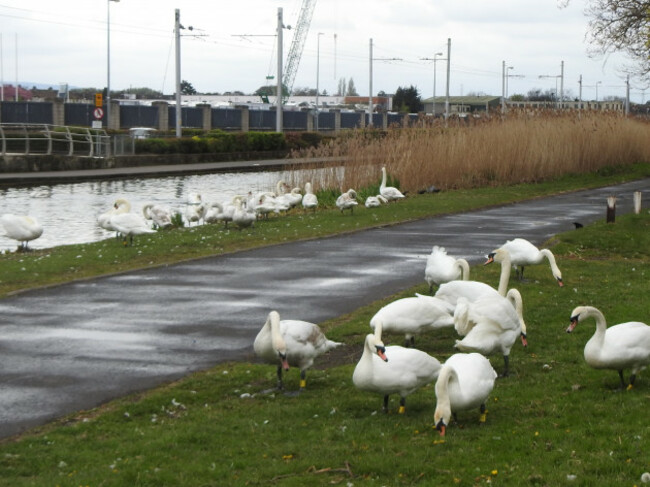 2522428a-8e1c-4f82-b776-ef8be5c8d1ee