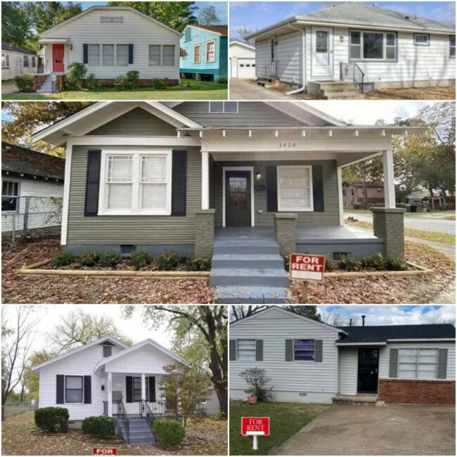 MixCollage-06-Mar-2025-03-49-PM-1112