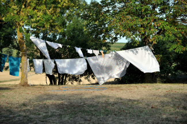 washing-line-strung-between-trees-in-nature-image-shot-072019-exact-date-unknown