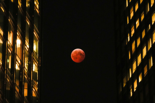 a-total-lunar-eclipse-known-as-the-blood-moon-is-visible-between-skyscrapers-friday-march-14-2025-in-downtown-chicago-ap-photokiichiro-sato