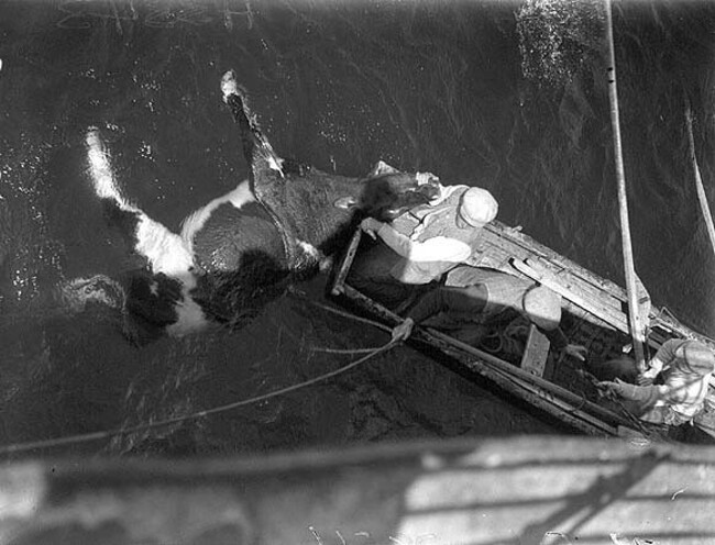 6276031368_8b41dc22a6_z