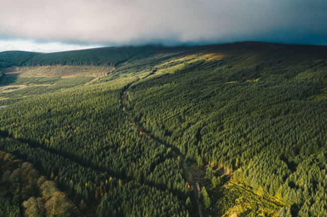 aerial-view-of-a-dense-monoculture-spruce-forest-in-the-wicklow-mountains-at-the-foot-of-the-757m-peak-called-kippure
