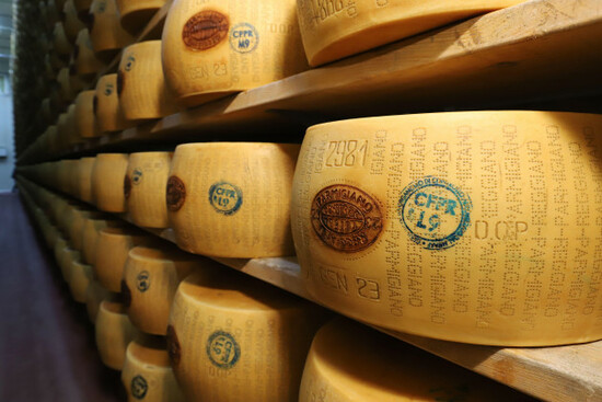 modena-emilia-romagna-italy-january-2024-phases-of-the-processing-of-parmigiano-reggiano-cheese-a-typical-dairy-product-famous