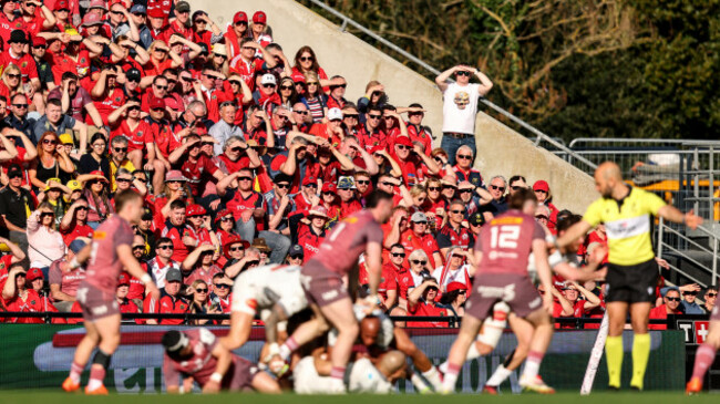 munster-fans-watch-on-during-the-game