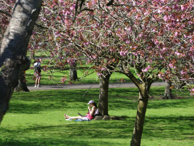 Sunny weather Dublin -24_90724862