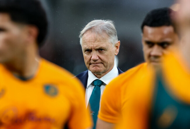 joe-schmidt