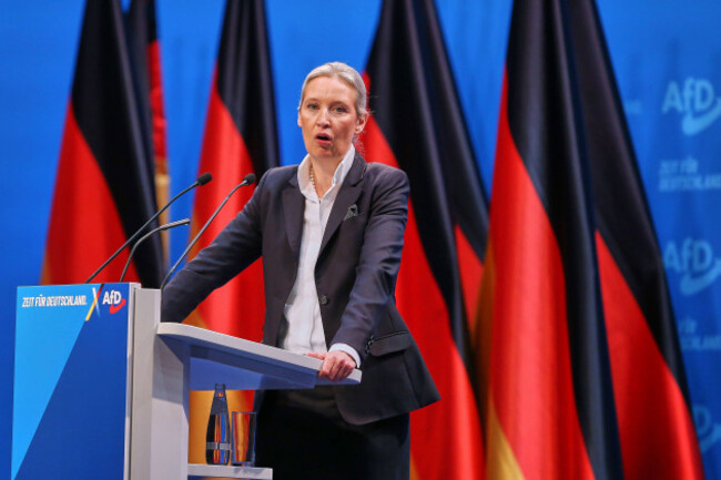 riesa-sachsen-deutschland-11-01-2025-wt-energiesysteme-arena-16-bundesparteitag-der-alternative-fur-deutschland-tag-1-afd-chefin-alice-weidel-halt-eine-rede-riesa-saxony-germany-11-01