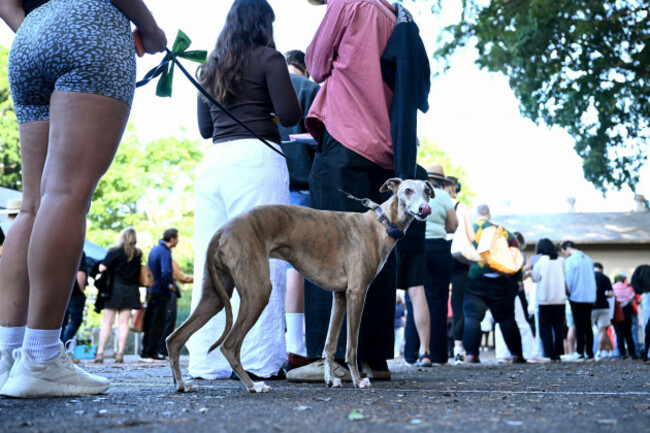 sydney-australia-03rd-may-2025-voters-and-their-dogs-line-up-to-cast-their-ballot-at-newtown-public-school-polling-place-newtown-sydney-saturday-may-3-2025-australians-head-to-the-polls-to-e