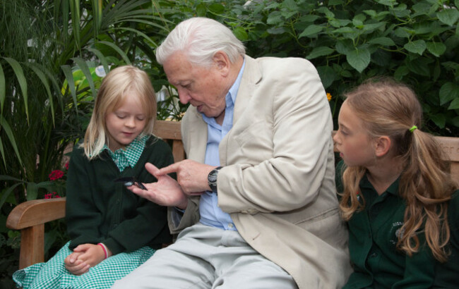 sir-david-attenborough-big-butterfly-count-national-history-museum-london
