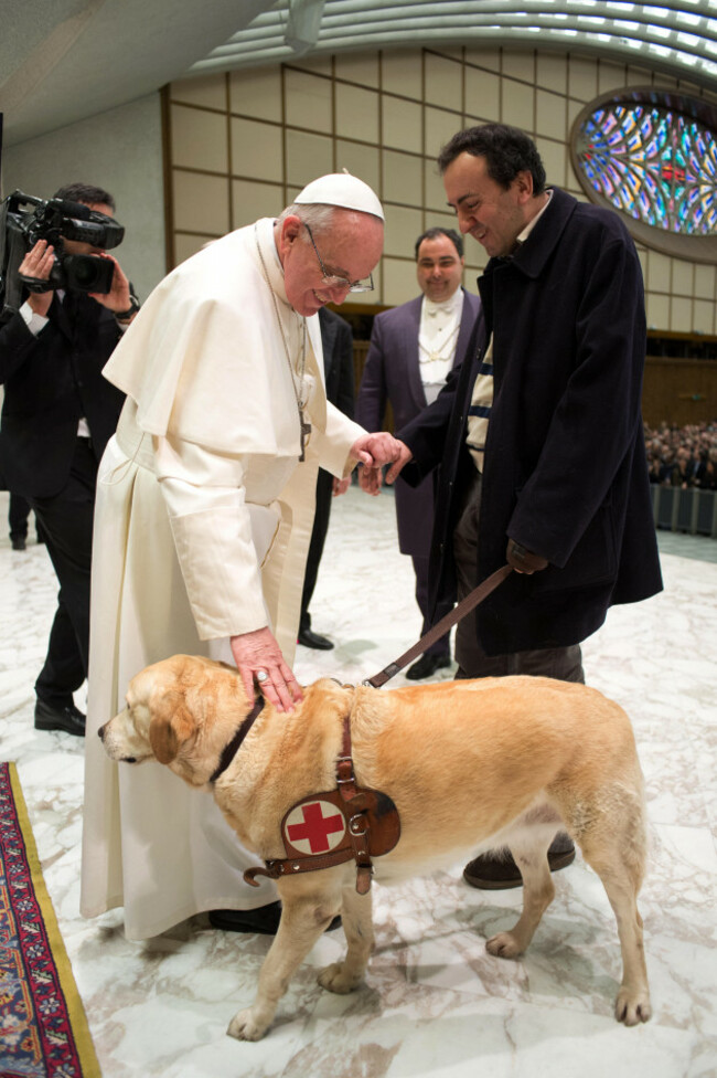 pope-francis-i-strokes-a-guide-dog-for-the-visually-impared-during-a-meeting-with-journalists-at-paul-vi-hall-featuring-pope-francis-i-where-vatican-city-rome-italy-when-16-mar-2013