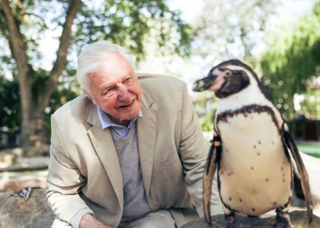 david-attenborough-in-attenborough-and-the-giant-sea-monster-2024-directed-by-victoria-bobin-credit-bbc-studios-album