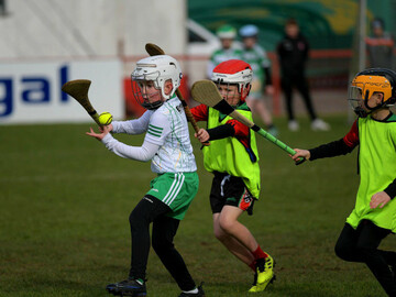 primary-school-children-from-doire-trasna-and-faughanvale-gaa-clubs-play-hurling-in-celtic-park-derry-photo-george-sweeneyalamy