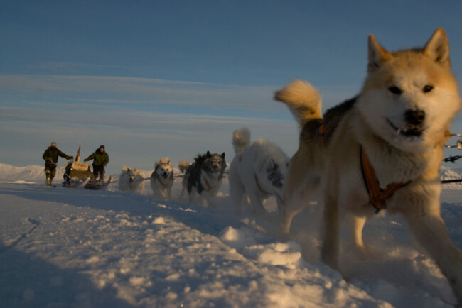 dog-sled-team-5-jens-jepsen-30-and-soren-christiansen-danish-special-forces-sirius-dog-patrol-mestersvig-north-east-greenland