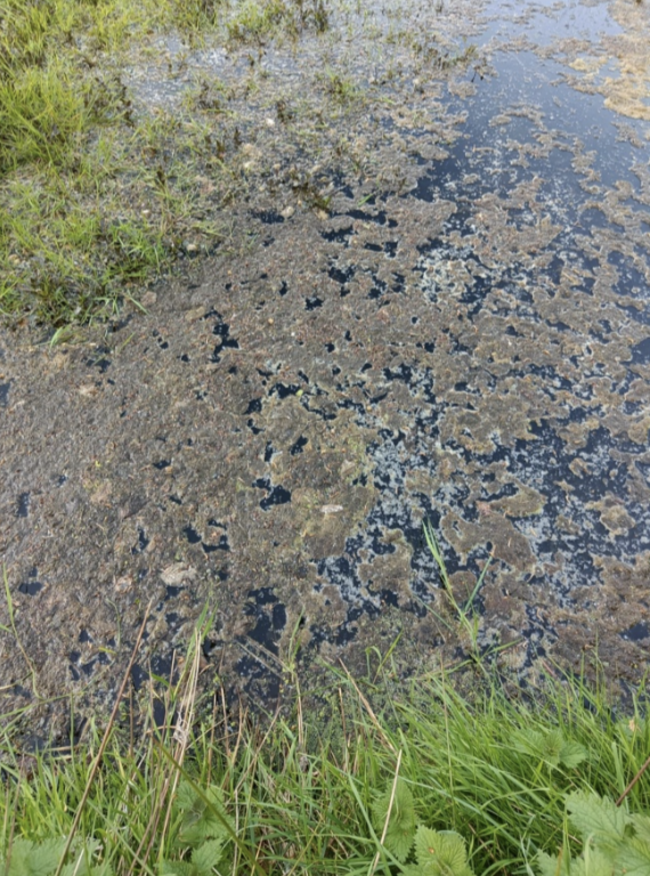 Screenshot 2025-06-09 at 14.54.03