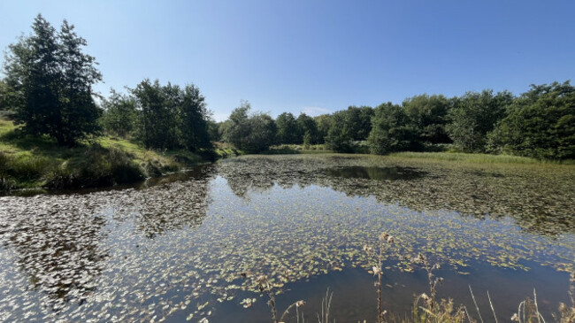 Big Pond - World Bee Sanctuary